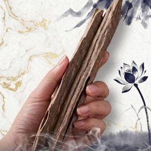 天然野生越南順化沉香隨形擺件
