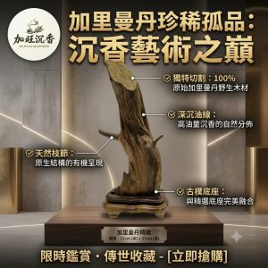 加里曼丹-沉木天雕件(含座)